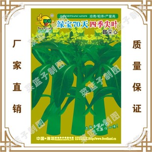 �G��70���ļ����~�����  ϲ���N�繫˾ֱ��������طNֲ�߲˷N��