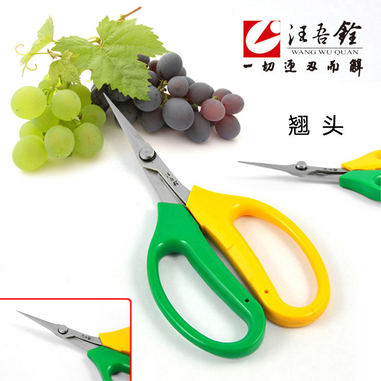 汪吾铨2108园林剪刀 翘头园林剪