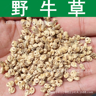 ��ƺ�N�� ���� Ұţ�ݷN�� ˮţ�ݷN�� 1��=1��