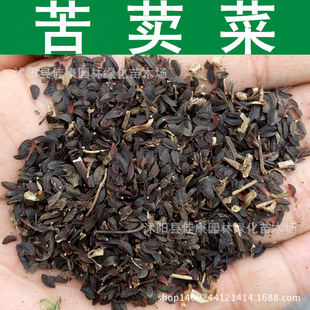 ���ݷN�� �����˷N�� ���u�˷N�� ���I�� ���{�˷N�� 1��=1��