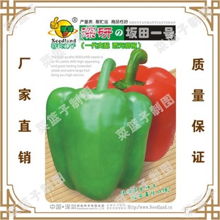 ϲ���N�繫˾ֱ������Nֲ�߲˷N��  ��������һ�  ��Ԫ��