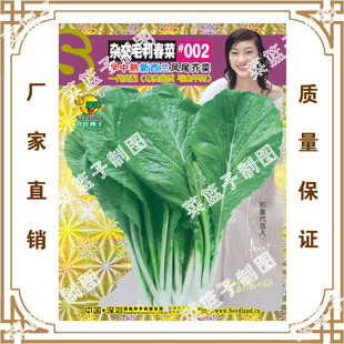 �s��ë������#002�������Pβ��� �̨ͥԺ������������߲�