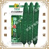 Shenfeng No. 6 F1 Spring and Autumn Cucumber Xiliang Seedling Company Direct Selling Read Base Planting Vegetable Seeds