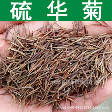 ݻN AշN ջ S SӢ S˹ 1=1