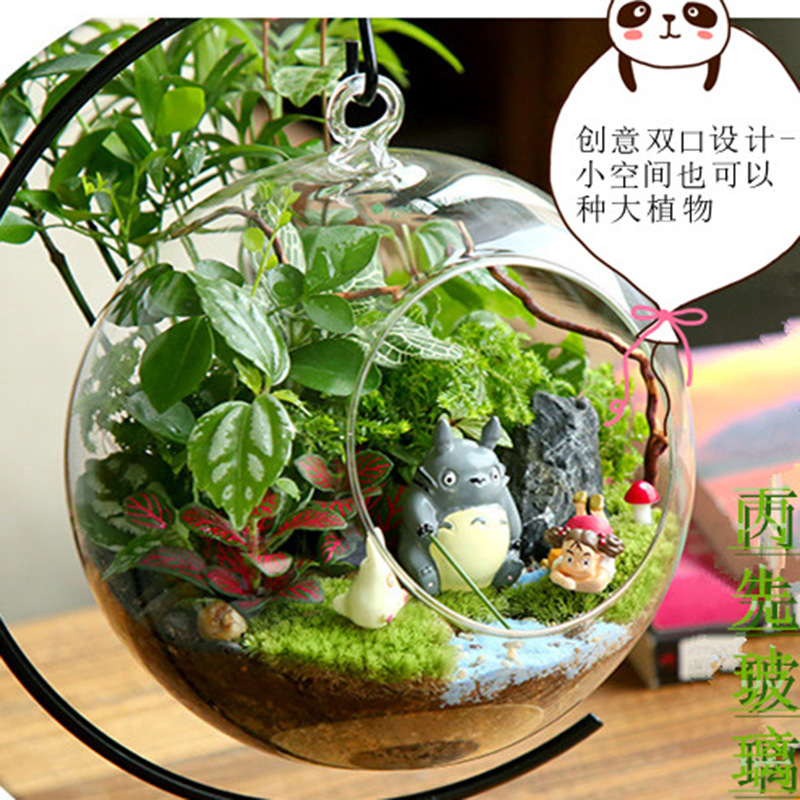Micro-Plant Glass Vase Landscape Double-Mouth Glass Bottle Moss Plant Ecological Bottle Wholesale Double-Mouth Glass Hanging Bottle