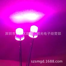 ����f3ƽͷ�׷��ۺ� 3mm�ۺ���б߷�Ƭֱ��ʽled���鷢�������
