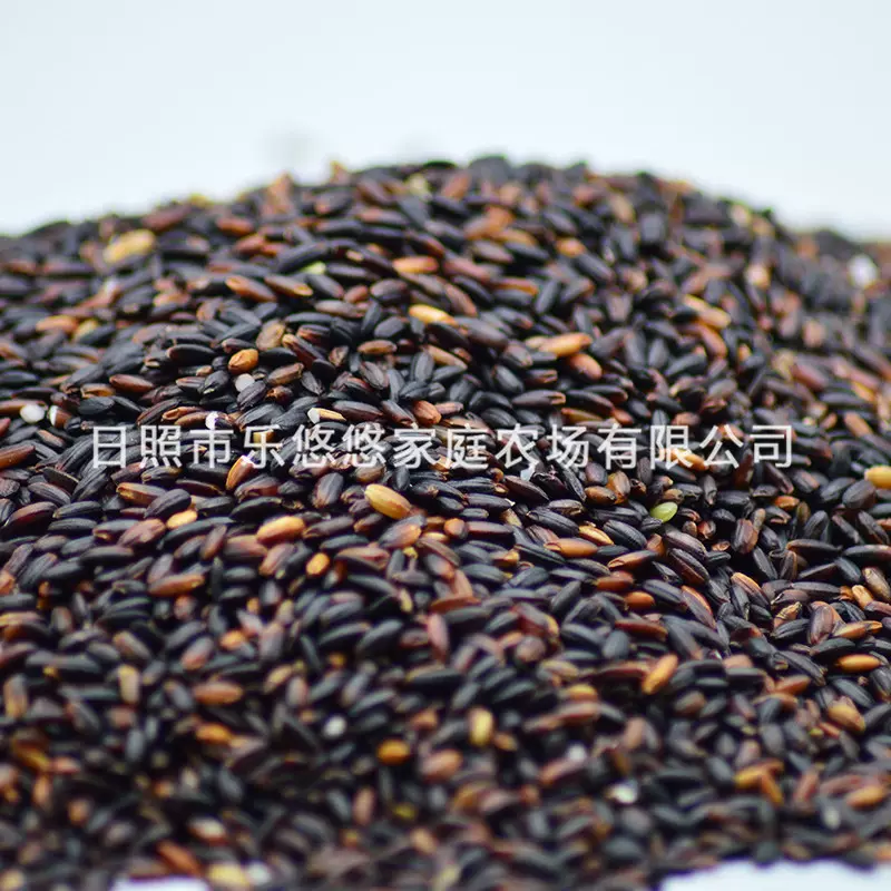 批发杂粮黑糯米 甜品奶茶食品血糯500g包装五斤包邮优质