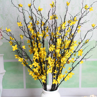 �W�����������ӭ���� ��c��֦�Ҿ��bٻ� �����B�N��֦�M�ؽ�