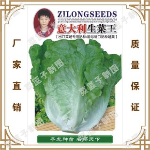 �߲˷N���T�����S��ֱ�����������ش����ļ��Nֲ �����������