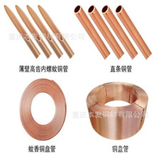 �ؑc���{�~�ܬF؛ �ؑc���{�P�܃r�� �ؑc���{���~�P�܏S