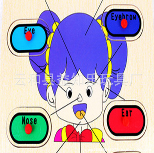 Wooden digital cognitive toy