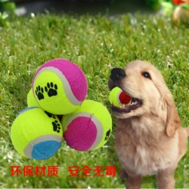 球类;狗狗玩具;壁球