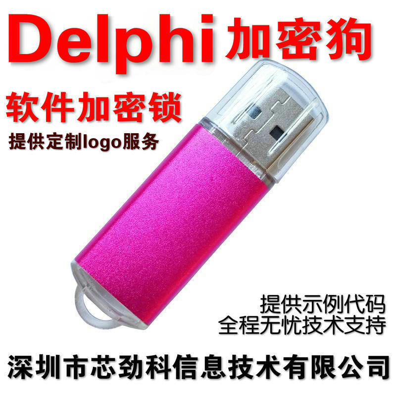 Shenzhen Xinjinke Delphi development software encryption lock provides development sample code dongle usbkey