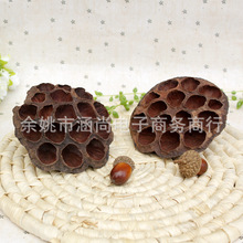 天然风干复古干莲蓬头干花店摄影道具批发天然干花干果家居饰品
