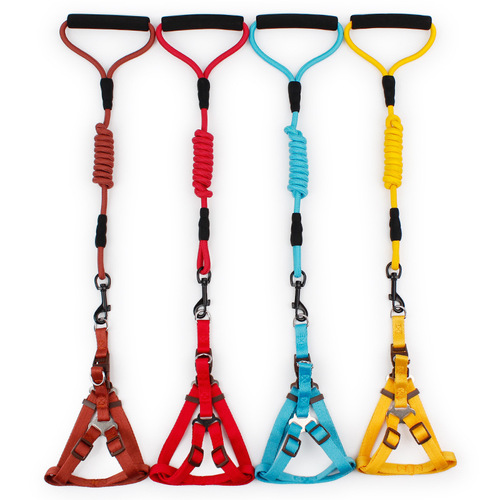 Pet leash small dog Pipitao round rope chest and back foam handle solid color climbing rope dog rope wholesale