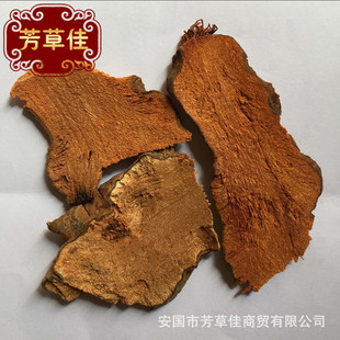 ���l�䱳��ș�İ��� ���� ������ �F���