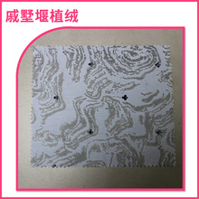 �S�ҹ��� ���aӡ����ֲ�q ��N���yֲ�q���� ���Iֲ�q