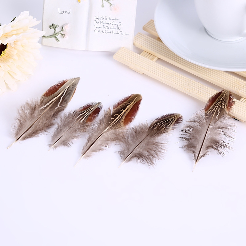 天然色红余羽毛批发  饰品配件羽毛  5-10cm规格羽毛热销