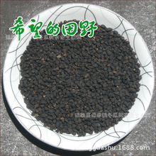 �Ĵ����ɽ��ɽ���w�� �������w500�� ���������w�N�� ���ԛ_�