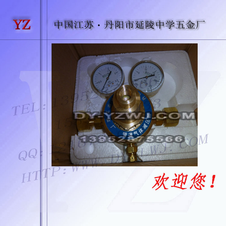 氧气汇流排管道气体减压阀 YQJ-11A氧气减压器  单级双表减压阀