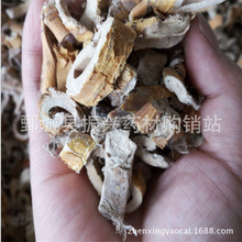 ɣ��Ƥ�����dș�ġ�ș�����l������ɣƤ�� �V���y؛   ��������