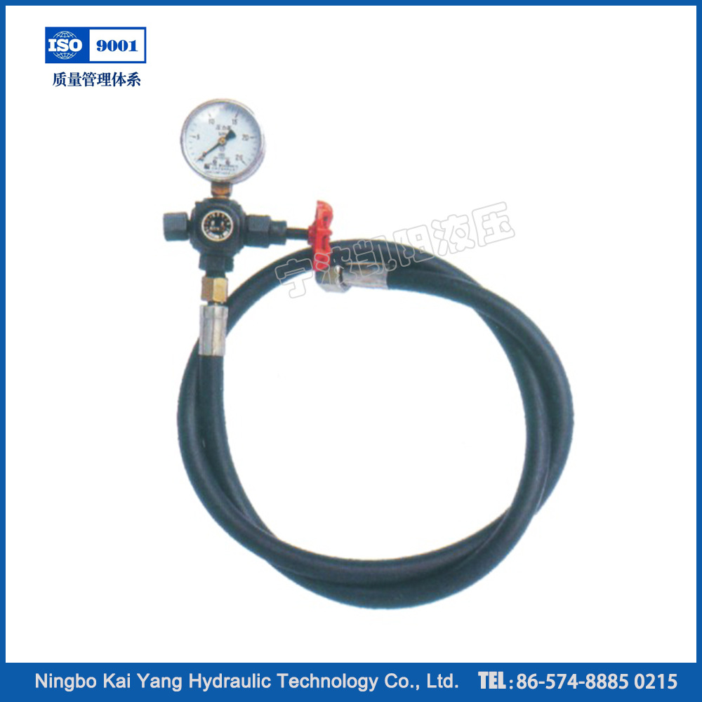 宁波溪口批发优质充气工具 氮气充气工具带压力表指示