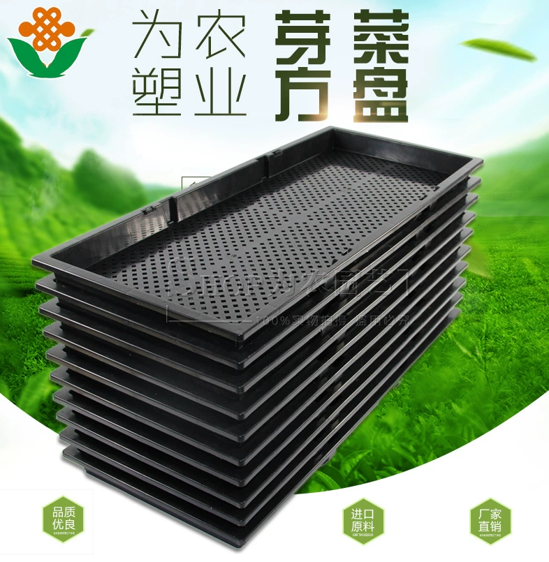 Обработанная и индивидуальная посевная тарелка для посадки ростков, trays для проращивания бобовых и пшеницы, посадочная лоток, обучающая коробка