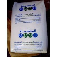 PP/沙特APPCP1100N11