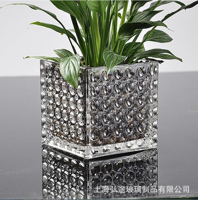 Hydroponics plant Containers transparent Crystal glass Dot Square cylinder Creative vase Home fashion Decoration