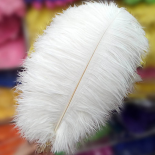 �S�����l�����ɫ�r�Bëdiy�b��r�B��ë�^�40-45CM��c�廨
