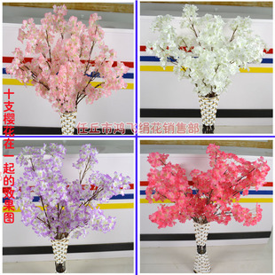 ����ѻ���֦�����~�ӈ@���b�֦���滨�һ�֦ӭ����֦