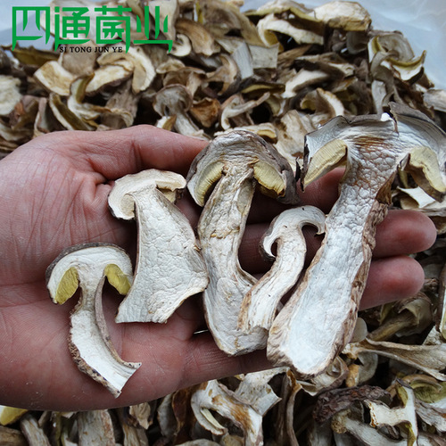 Yunnan White Boletus Dried Goods Delicious Boletus Selected Dry Goods Bulk Wholesale Direct Supply from the Origin