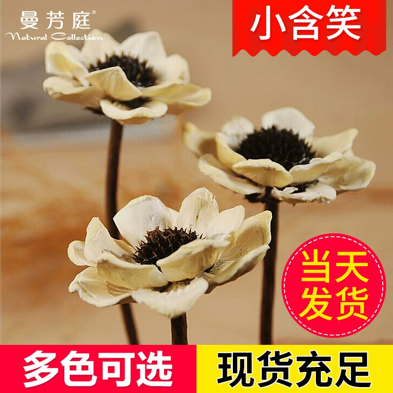 [Маленький Ханььсяо DIY засушенные цветы оптовая флористика растительный материал реквизит для съёмок вечная жизнь цветок DIY]