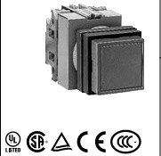 正品IDEC和泉按钮开关 ABQW210G