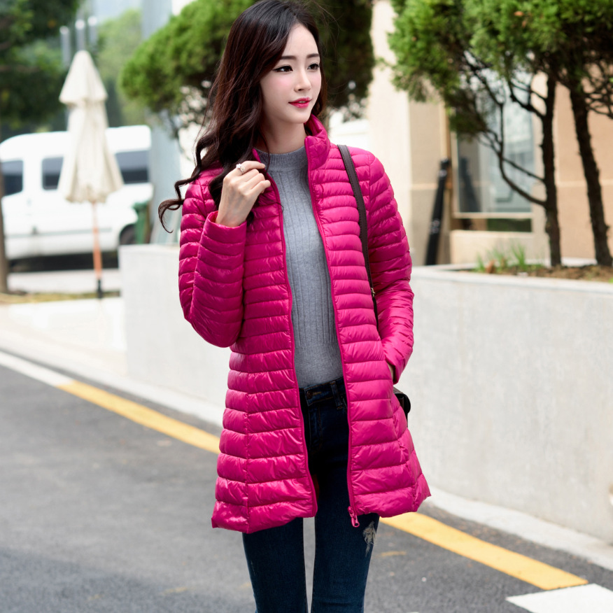 로즈 레드