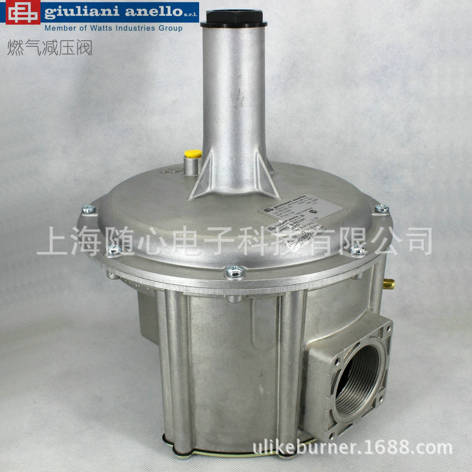 FG1B50 009.0255.103 giuliani anello/贵龙燃气调压阀 带过滤器