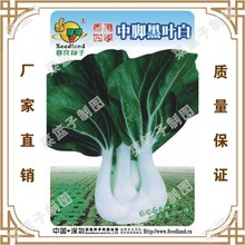 ߲˷NӏSֱشļNֲ ļ_~