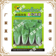 喜良种子厂家直售批零大田基地大棚四季种植   韩园改良5号快菜