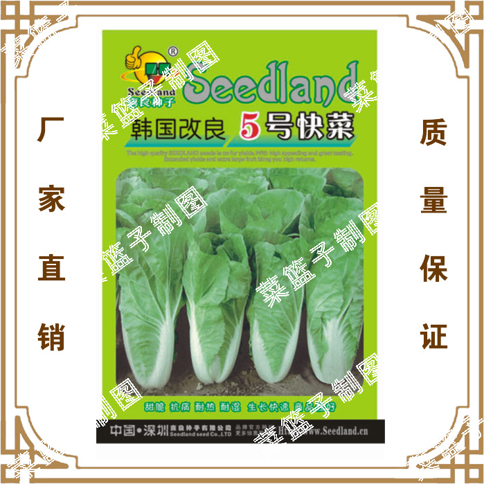 喜良种子厂家直售批零大田基地大棚四季种植   韩园改良5号快菜