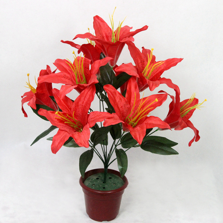 분지가없는 빨간색 가격