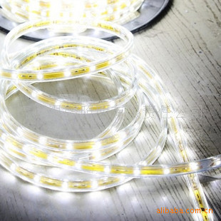 LED��5050�NƬ60����ˮ�߉�220V �b�չ���������̰��۸������l