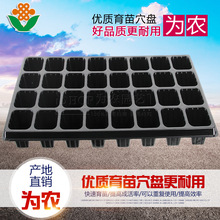 Ѩ�P����P���������ľ�����������������бP�I�B�����籭