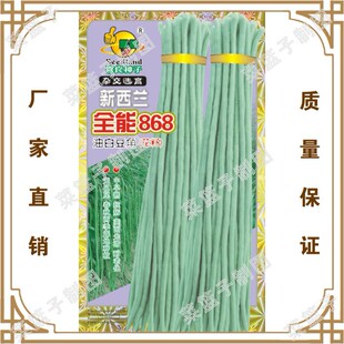 �T�����N��S��ֱ������������ �����m���868�Ͱ׶��ǣ����ѣ�