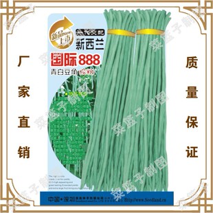 �T�����N�繫˾ֱ�������߲˷N�������m���H888 ��׶��ǣ����ѣ�