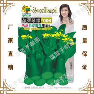 �s����G#006�����ѿ�t������� ϲ���S��ֱ����������ļ��Nֲ