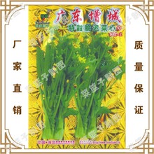 蔬菜种苗厂家喜良种子厂家直售 广东增城持甜脆迟菜苔F1（822-2）