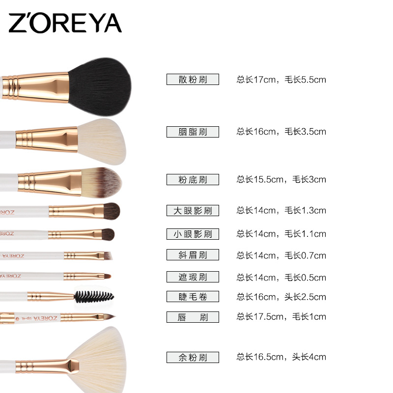 Zhuolya herramientas de belleza polvo suelto Rouge oblicua ceja cepillo corrector conjunto completo rizador de pestañas al por mayor 10 cepillo de maquillaje traje