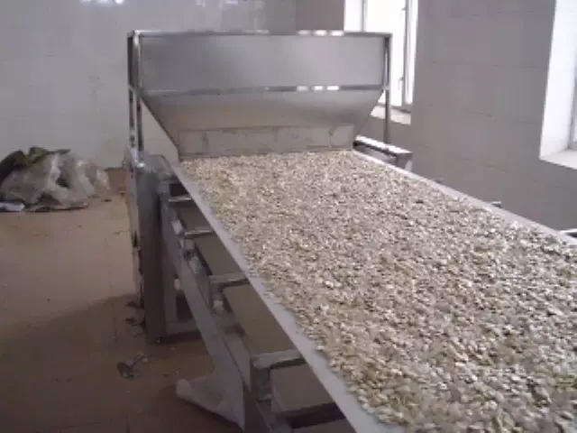 厂家直营瓜子烘焙烘干机微波干燥机械设备低温杀菌机