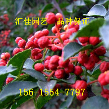 �o�̻����� �����t�ۻ����� �F�ݾ��~�໨���� ��Ʒ�N����