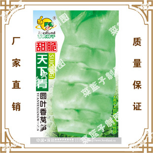 ϲ���N�繫˾ֱ��������طNֲ�߲˷N��  ����������A�~���n�S